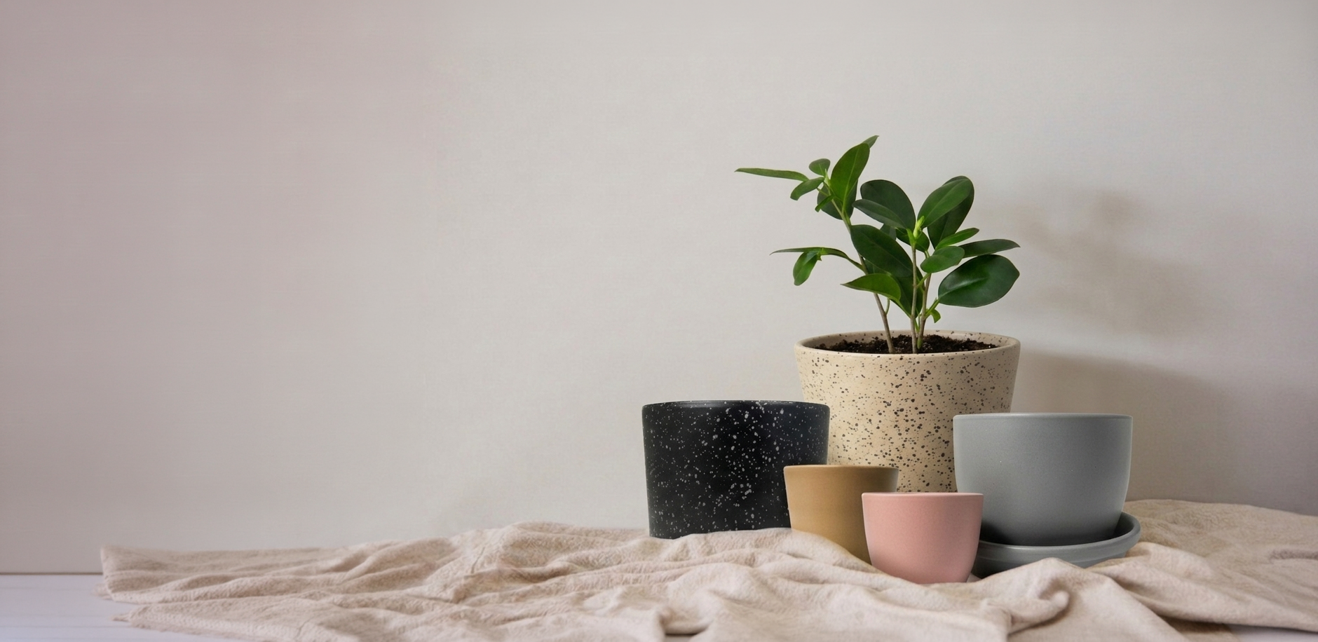 Have you seen our range of pots?